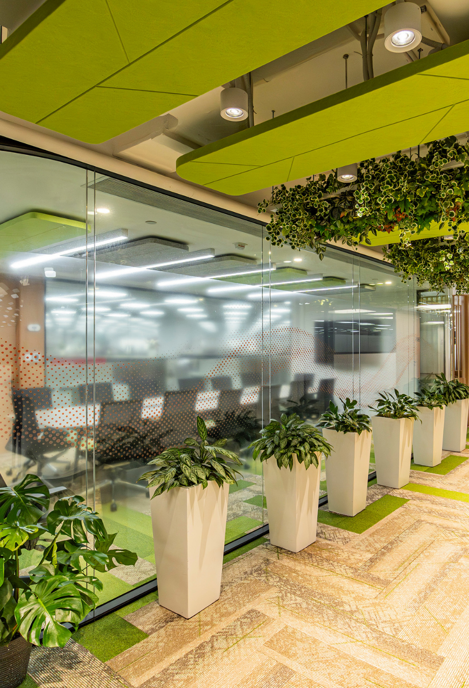 an office full of green plants. there is a partition systems for meeting room.